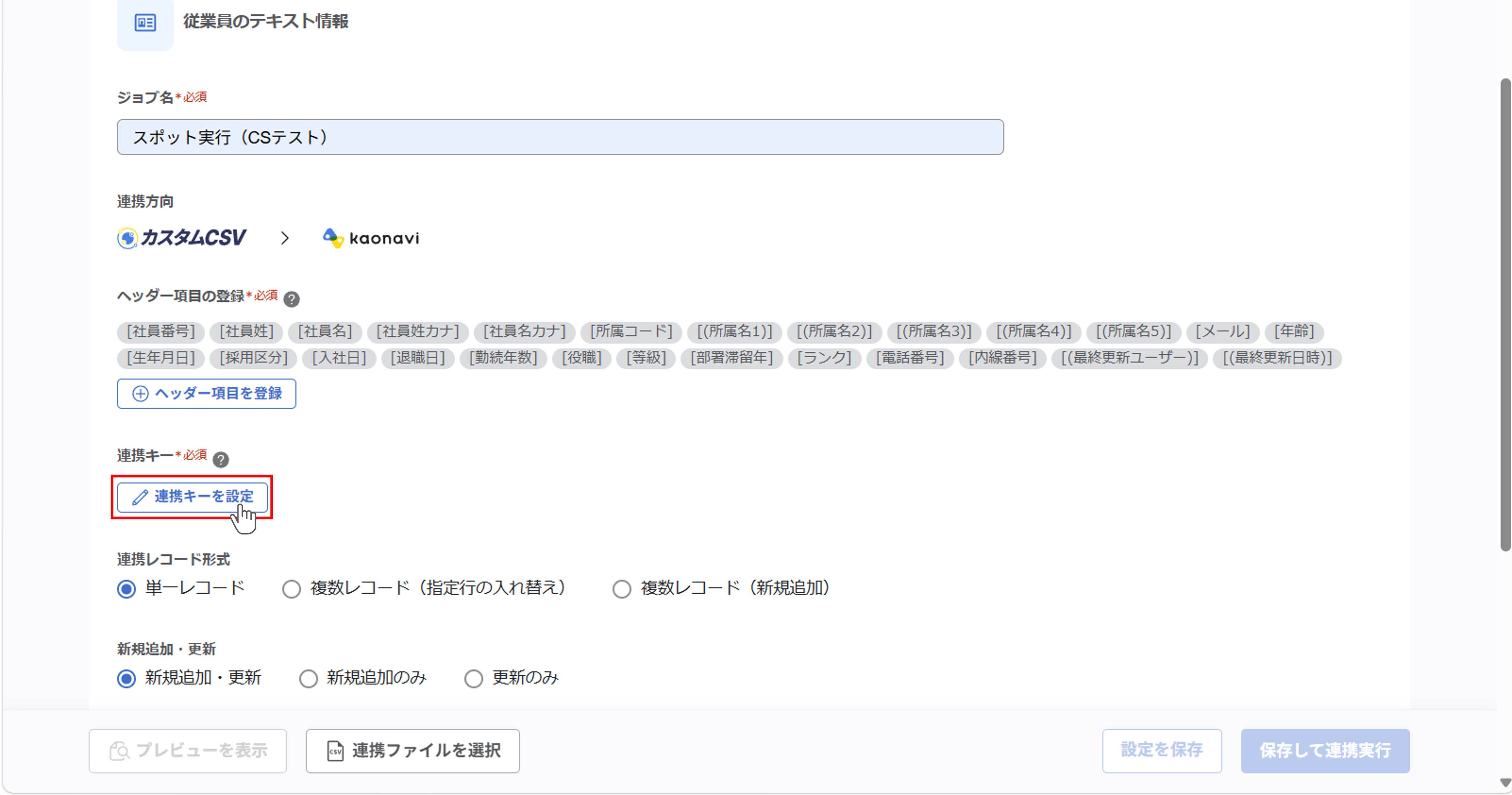 （カスタムCSV連携） スポット実行の設定（従業員のテキスト情報）_16.png